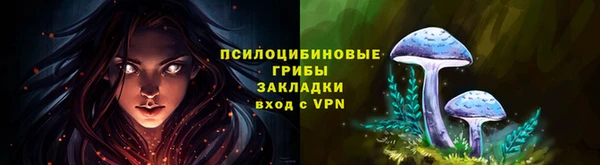 соль курить ск Пересвет