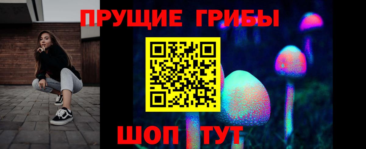 Псилоцибиновые грибы мицелий  Галлюциногенные грибы Psilocybine cubensis  Новотроицк  Вход с VPN 
